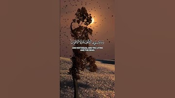 قرآن كريم بصوت جميل #quran #المصحف #اكسبلور #راحة_نفسية #قران_كريم #لايك