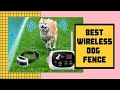 Best Wireless Dog Fence (Top Rated Wireless Invisible Fence)