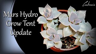 Mars Hydro Grow Tent \& TS1000 Update | Cactus \& Succulent Collection | #MarsHydro