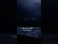 リオル畏ェ リェリァル嬉沽ュ 苧 リオル畏ェ リェリァル嬉沽ュ 苧