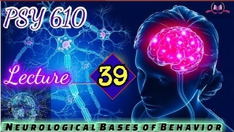 PSY610 || Lecture 39 || Neurological Bases of Behaviour || Short Lecture || VU Lectures