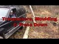 Off Grid Cabin Time: Trespassers and Trees Down