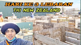 Tki new Zealand, Hari ke 3 lebaran kerja jadi Tukang kayu Dadakan.