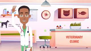 Pet Vet Explainer Video