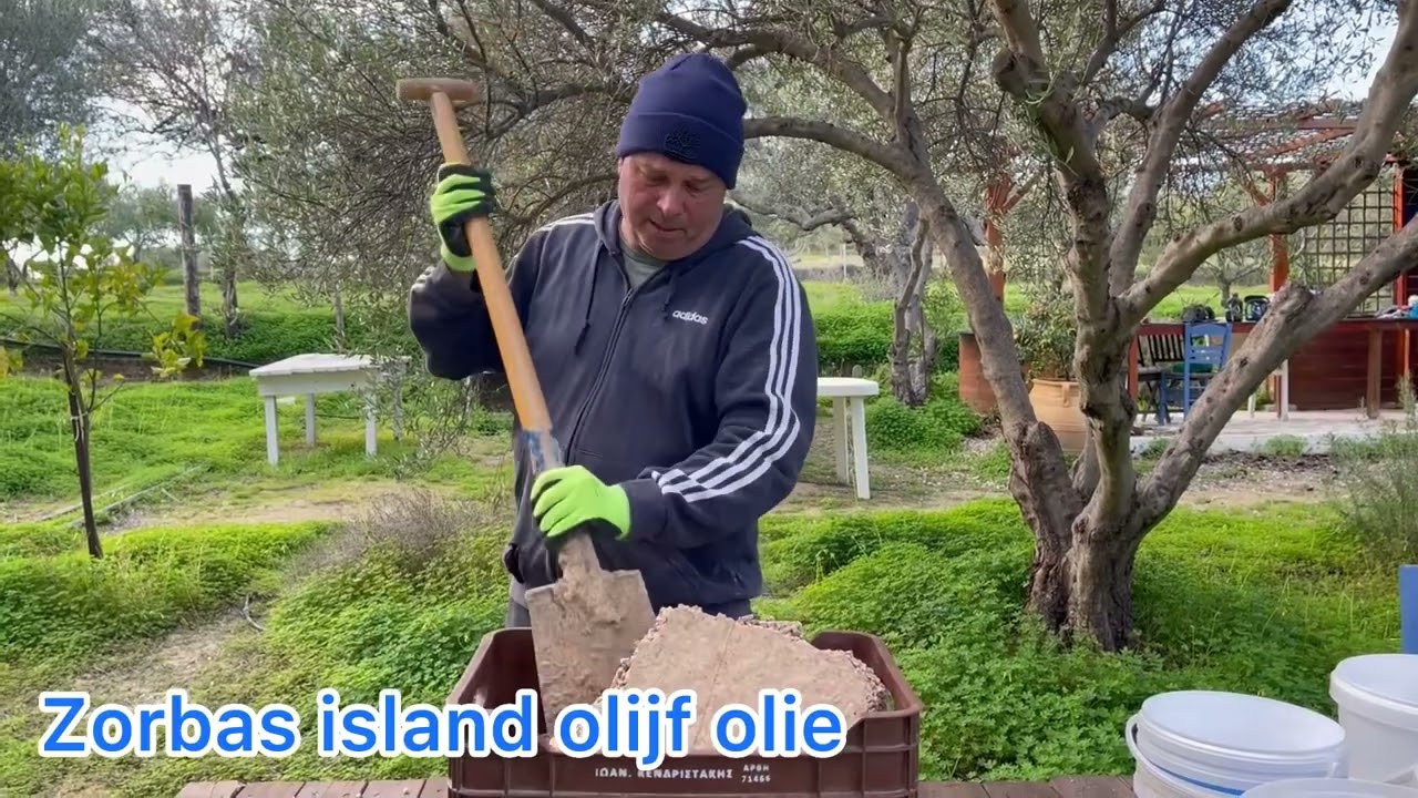 Olijfbomen mesten (Biologisch)