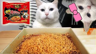 honeyEats Nuclear Fire Noodles! Mukbang! Samyang 2x Spicy Ramen!