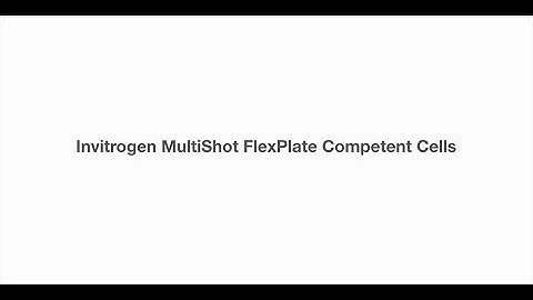 Invitrogen MultiShot FlexPlate chemically competent E. coli product overview