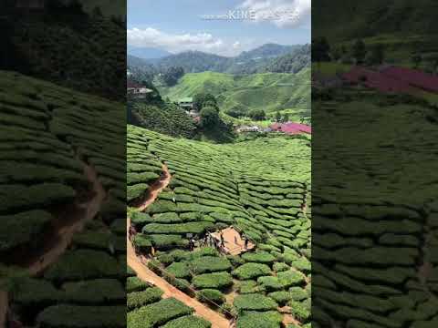 ابوبكرسالم انا في كل المدن مريت مع احلا المناظر من ماليزياء مع تحيات ابونضال الفضل العلهه