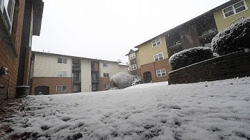 snow in slow motion backwards