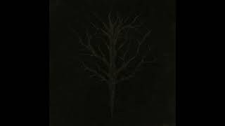 Munimentum