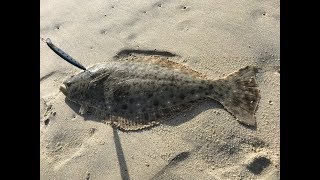 Felt the itch for another surf fishing (mis)adventure! decided to go
back out mission beach and try a new plug; lucky craft flash minnow
110sp in ...