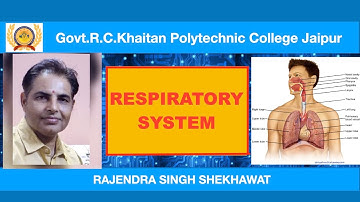 Respiratory system (EL 306) // Rajendra Shekhawat// Govt RC Khaitan polytechnic college , jaipur