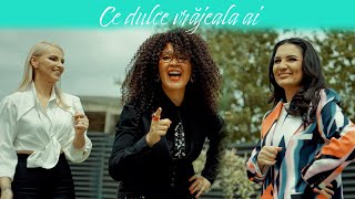 Andrada Barsauan ❌ Lena Miclaus ❌ Minodora -  Ce dulce vrajeala ai ( video)