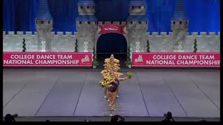 University at Albany- D1 Pom 2024