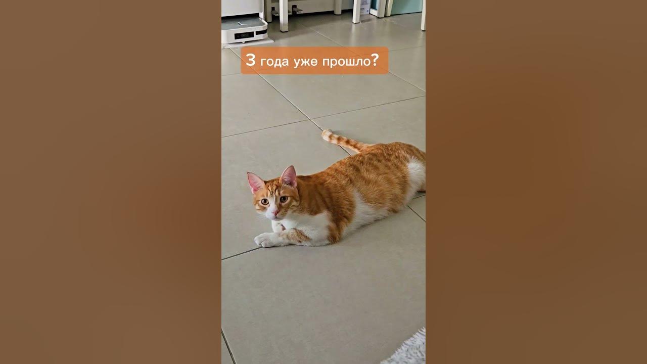 Обещанного 3 года ждут - YouTube