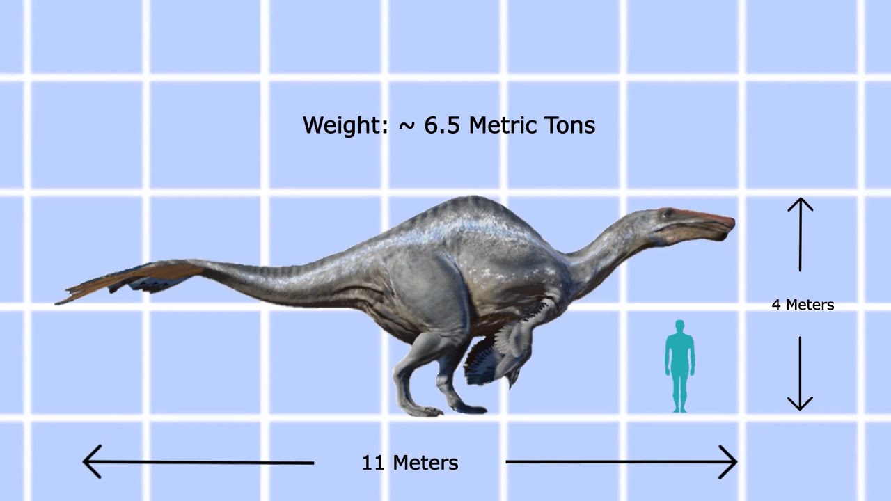 Deinocheirus mirificus ('unusual - All Things Dinosaurs