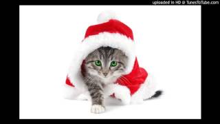 CAT SANTA CLAUS SONG ( FREE MUSIC DOWNLOAD )