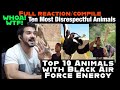 Top 10 Animals with Black Air Force Energy by casual geographic reaction