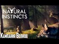 Кампания за Волков - Natural Instincts Первый Взгляд
