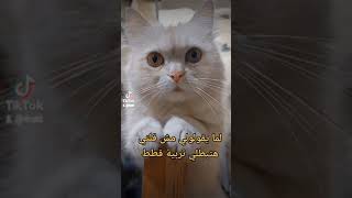 هذا كذب مين يصدق كلامي