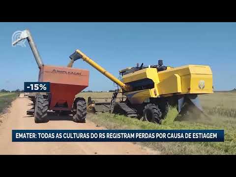 Emater: Todas as culturas do estado do RS registraram perdas por conta da estiagem | Canal Rural