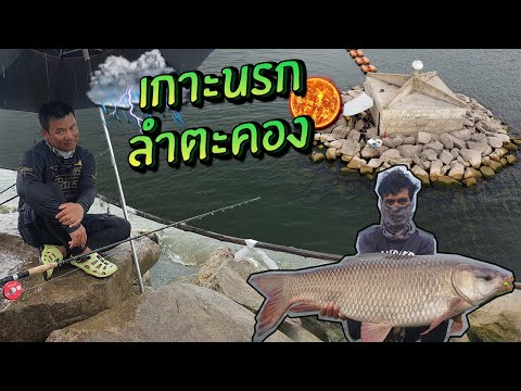 เกาะนรก! เขื่อน ลำตะคอง โคราช Carp Fishing, Korat