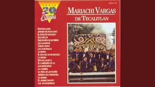 Video thumbnail of "Mariachi Vargas de Tecalitlán - Zacatecas (Marcha Zacatecas)"