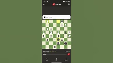 Chess Puzzles #Puzzle Solved 1769
