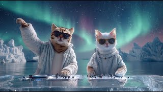 Antarctic Chillwave 2026 ❄️ Aurora Borealis DJ Set | Deep Electronic \u0026 Ambient House Journey