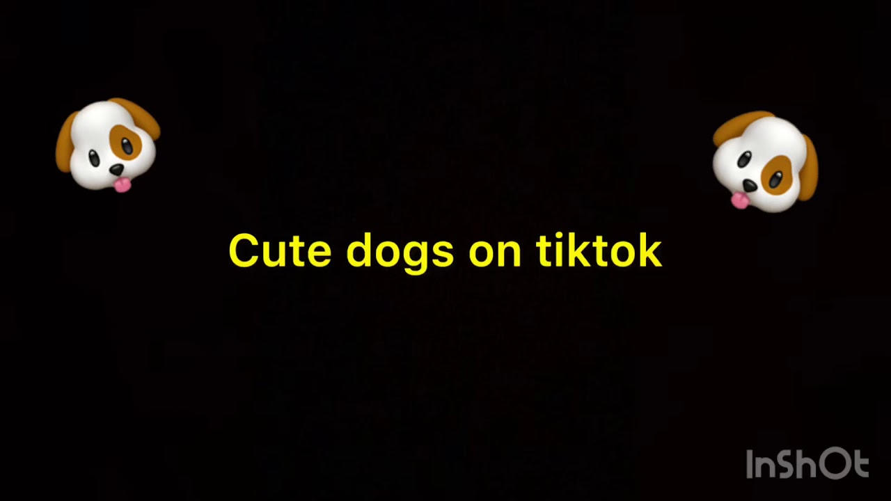 CUTE DOGS ON TIKTOK - YouTube