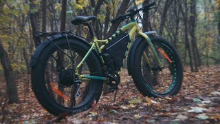 :    Stels 750w (Voltbikes)