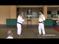 Nariyama Tetsuro shihan 9th dan (Lost seminar in Malaga) (Shodokan Aikido) I