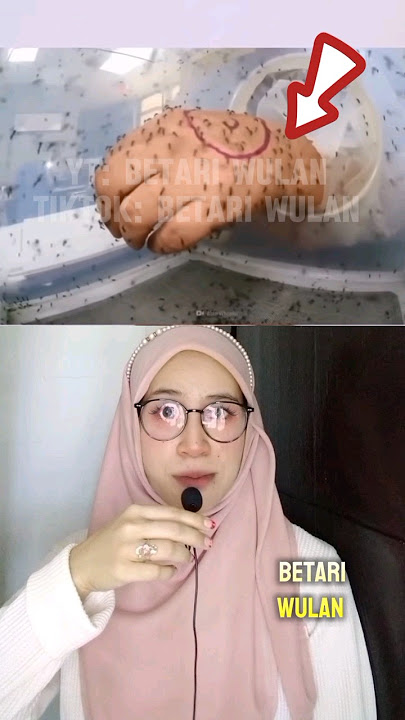 DIGIGIT SATU JUTA NYAMUK !?!? #shorts #faktaunik