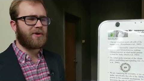 "Methodology of Tetrad Analysis in Chlamydomonas"