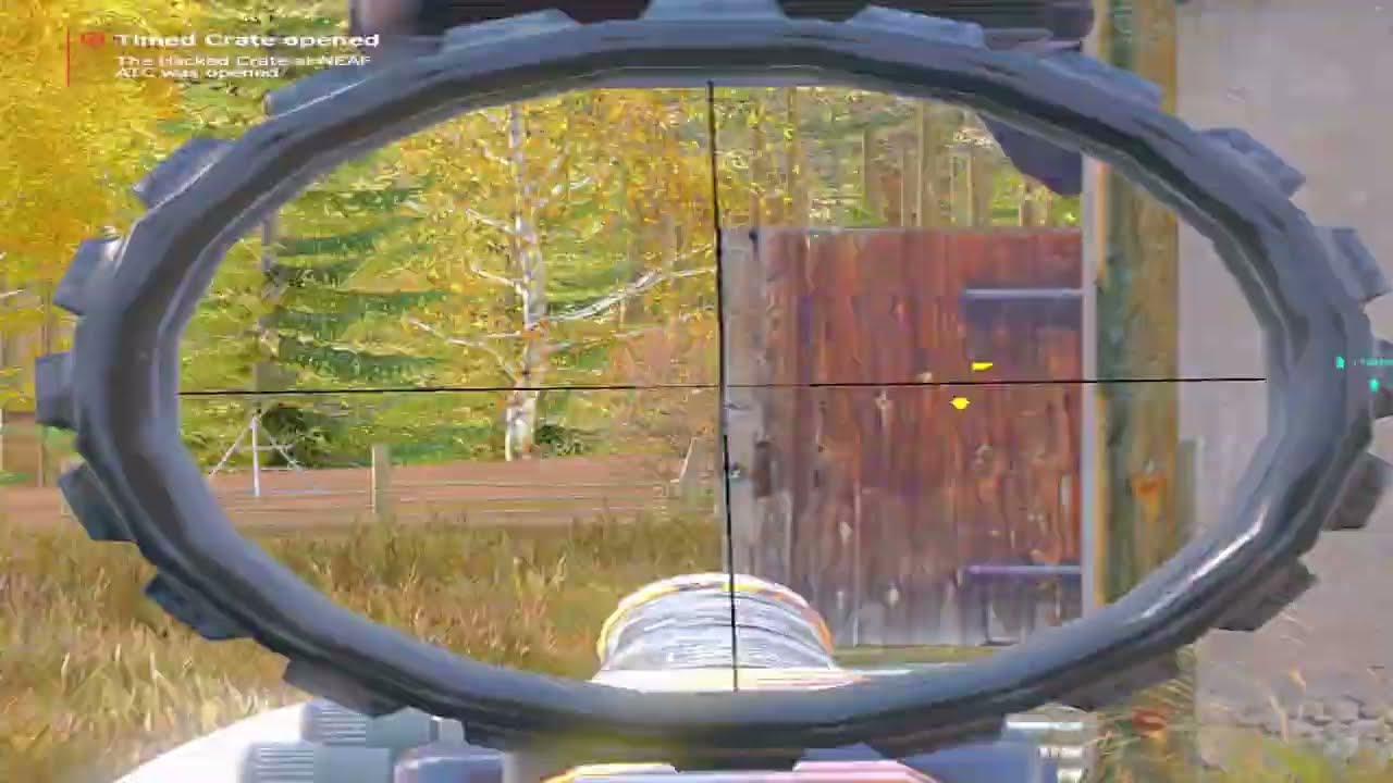 The Project #2 | DayZ Montage