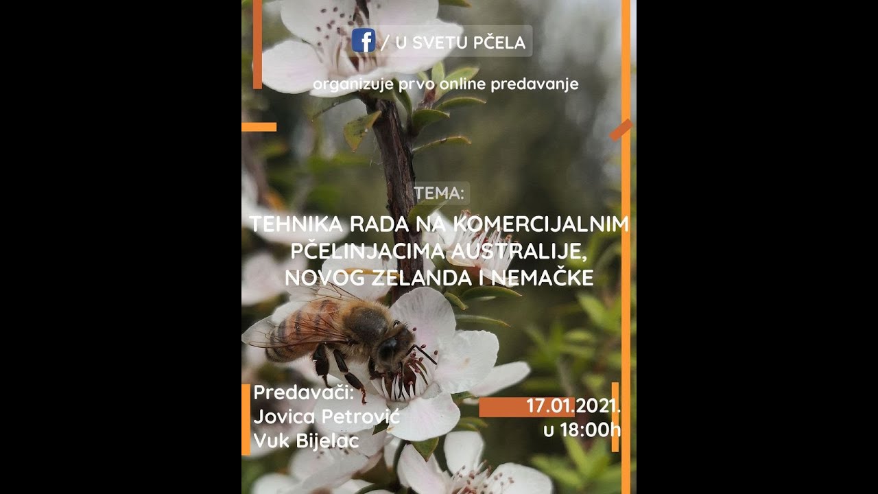 Tehnika rada na komercijalnim pčelinjacima Australije, Novog Zelanda i Nemačke