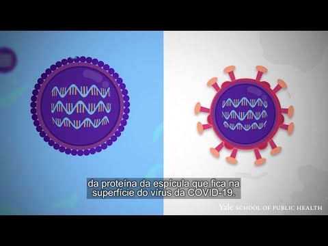 Vídeo: Quais outras vacinas são mrna?