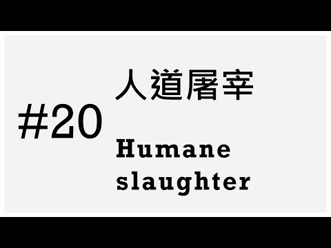 #20 人道屠宰 || Humane slaughter