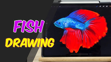How to Draw a Fish on Procreate DIGITAL Drawing/Painting (Time Lapse)