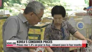 NEWSLINE AT NOON 12:00 20140902 아리랑 뉴스 12:00 20140902