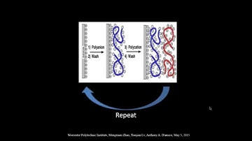 NaioAFM Example Research 3, Polyelectrolyte Multilayers