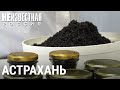 Чёрное золото России | НЕИЗВЕСТНАЯ РОССИЯ