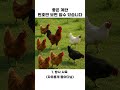 #건강상식 #좋은계란 #달걀 #닭장 좋은 계란 고르는 방법