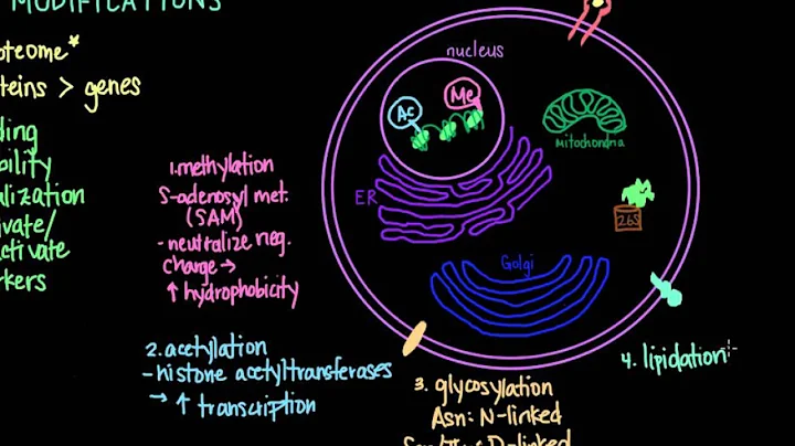 Post Translational Modifications - DayDayNews