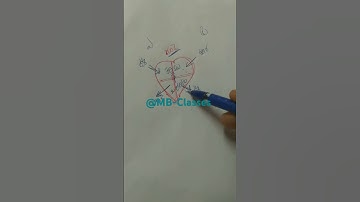 7th science imp bits for dsc