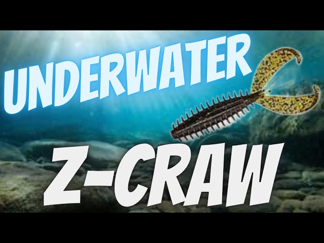 ZOOM Z-Craw UNDERWATER Tank Test / STRIKE KING Swing Jig / Bass