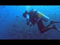 NOVA Maldives DIVE with 15k fishes 06 GoPro