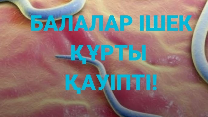 Мен анама порно жүктедім.