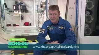 Rocket Science