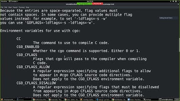 Golang BLR Meetup 45 (June 15th, 2019) - Go tooling, Boundscheck Elimination and Optimization